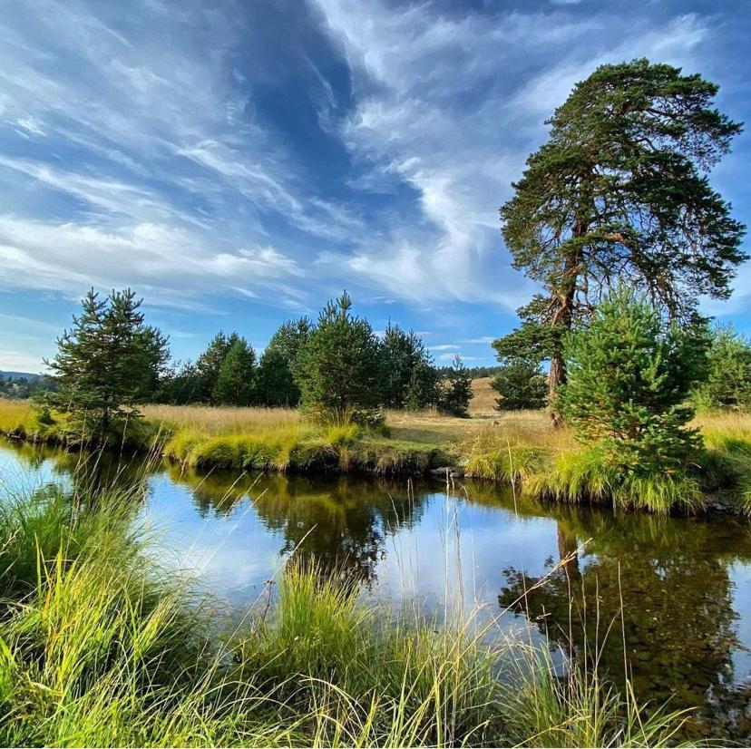 Vila Carna Zlatibor Dış mekan fotoğraf